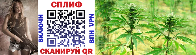 Купить наркотики Приморск Псилоцибиновые грибы  ГАШИШ  Каннабис  АМФЕТАМИН 