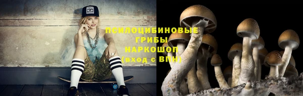 дмт Покровск