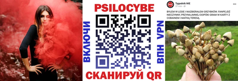 Галлюциногенные грибы мицелий  наркошоп  Приморск 